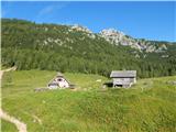 End of road on Pokljuka - Viševnik